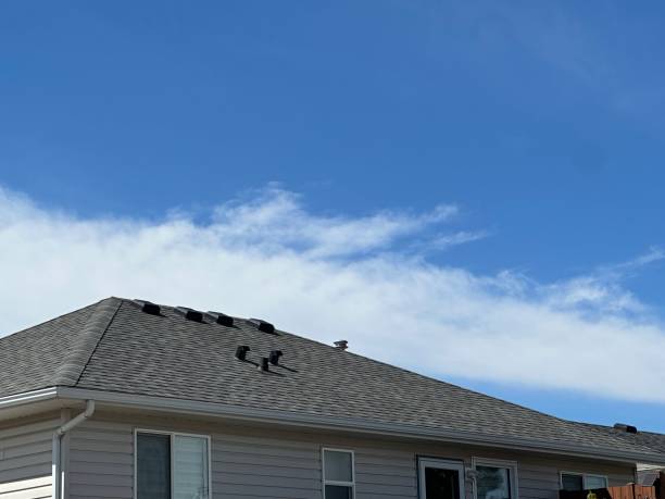Best Asphalt Shingles Roofing  in Boron, CA